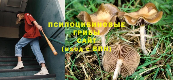трава Струнино