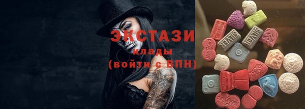 индика Ивантеевка