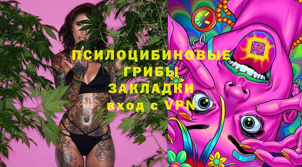 индика Ивантеевка