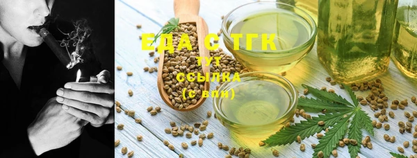 индика Ивантеевка