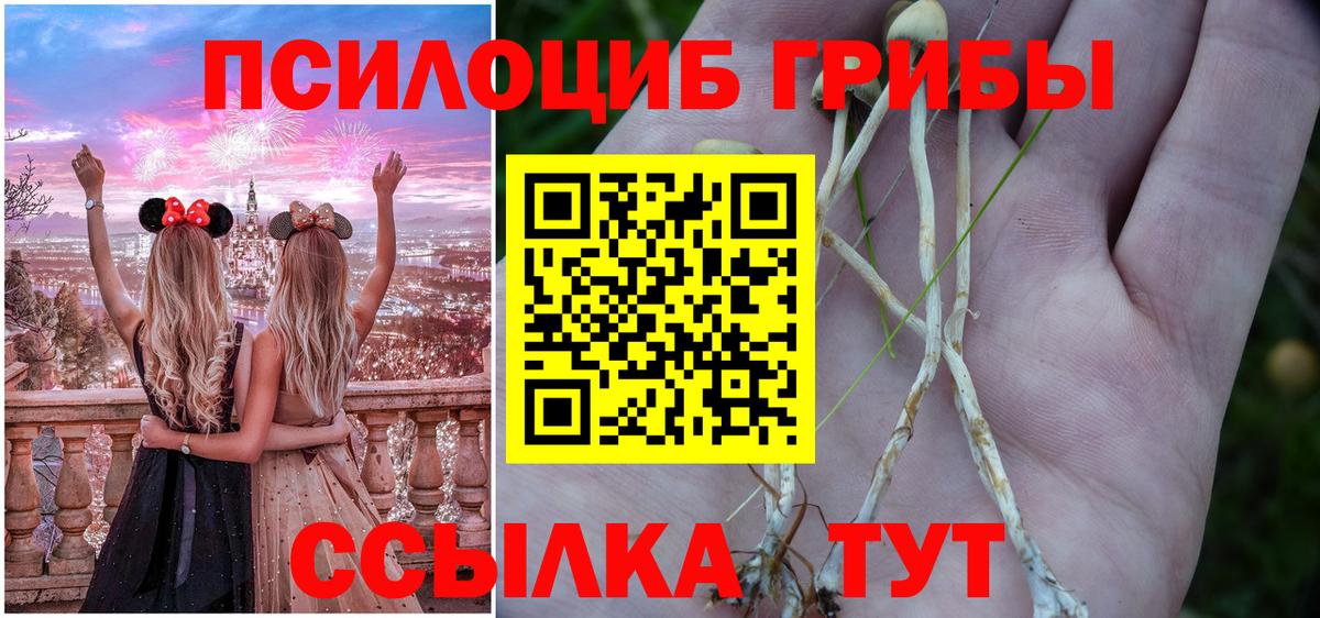 Канабис  Усть-Кут  Меф МЯУ МЯУ   ГАШИШ  Гашиш  Вход с VPN 