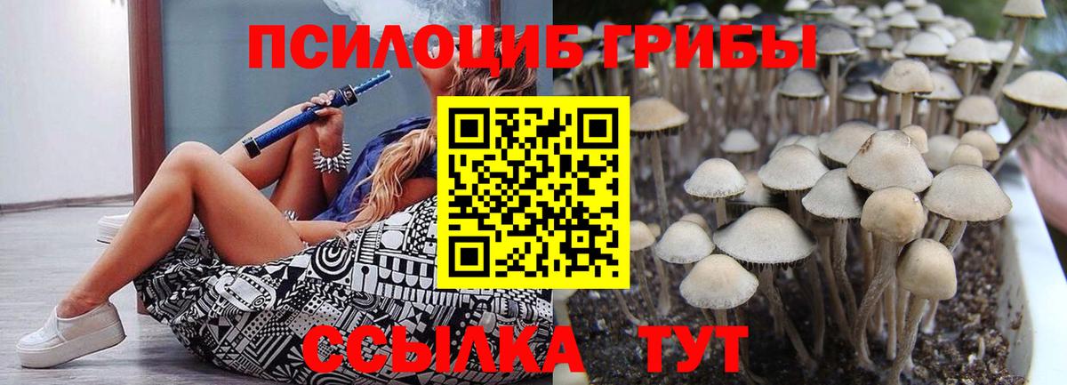 Галлюциногенные грибы Psilocybe  Вход с VPN  Усть-Кут 