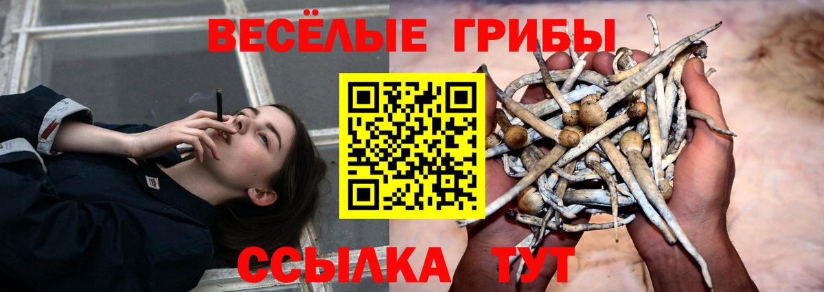 Галлюциногенные грибы мухоморы Усть-Кут